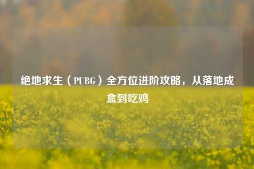 绝地求生(PUBG)全方位进阶攻略,从落地成盒到吃鸡