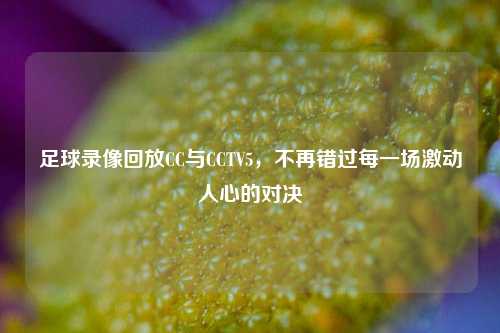 足球录像回放CC与CCTV5,不再错过每一场激动人心的对决