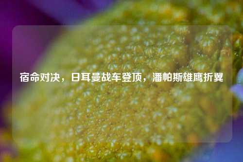 宿命对决,日耳曼战车登顶,潘帕斯雄鹰折翼