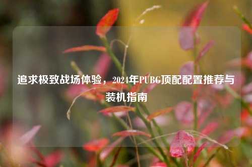 追求极致战场体验,2024年PUBG顶配配置推荐与装机指南
