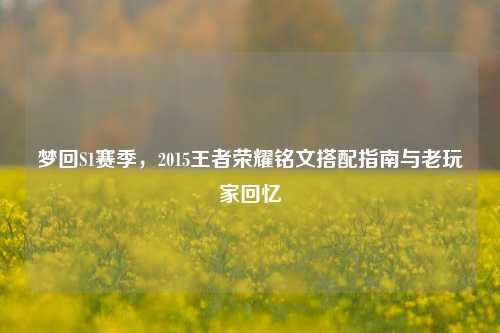 梦回S1赛季,2015王者荣耀铭文搭配指南与老玩家回忆