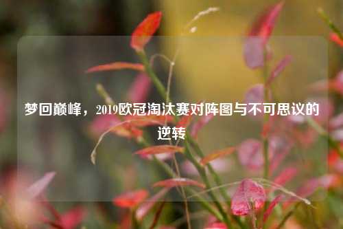 梦回巅峰,2019欧冠淘汰赛对阵图与不可思议的逆转