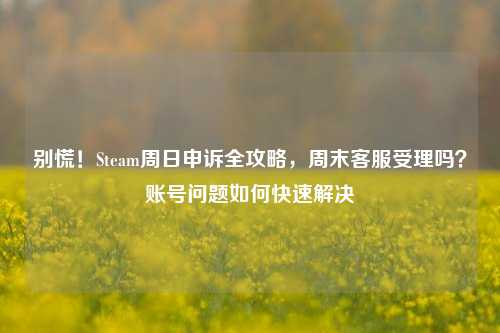 别慌！Steam周日申诉全攻略，周末客服受理吗？账号问题如何快速解决
