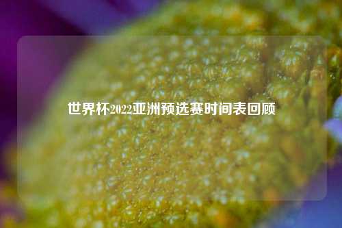 世界杯2022亚洲预选赛时间表回顾