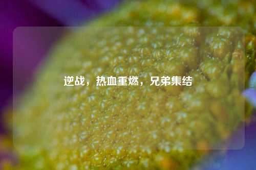 逆战，热血重燃，兄弟集结