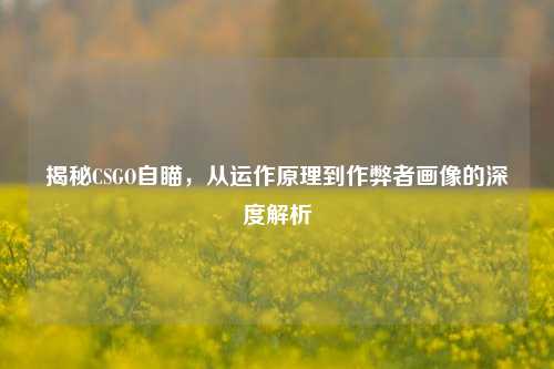 揭秘CSGO自瞄,从运作原理到作弊者画像的深度解析