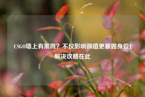 CSGO墙上有黑斑?不仅影响颜值更暴露身位!解决攻略在此