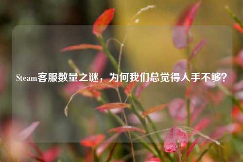 Steam客服数量之谜，为何我们总觉得人手不够？