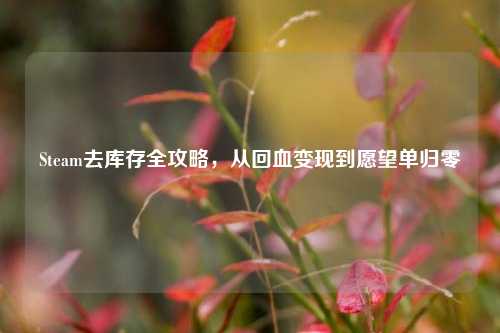 Steam去库存全攻略,从回血变现到愿望单归零