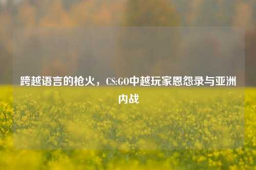 跨越语言的枪火，CS:GO中越玩家恩怨录与亚洲内战