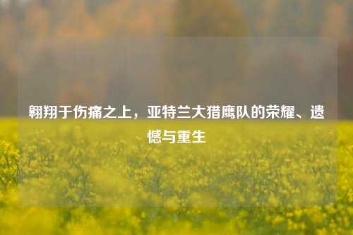 翱翔于伤痛之上,亚特兰大猎鹰队的荣耀、遗憾与重生