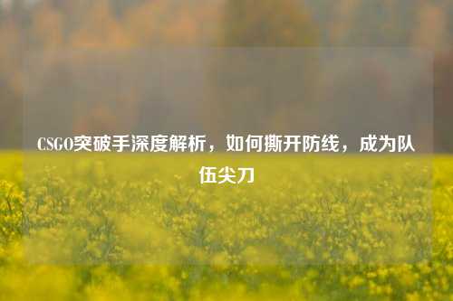 CSGO突破手深度解析,如何撕开防线,成为队伍尖刀