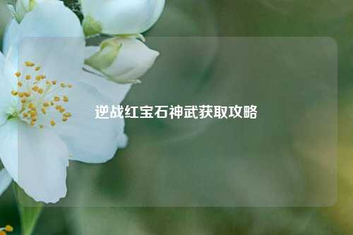 逆战红宝石神武获取攻略