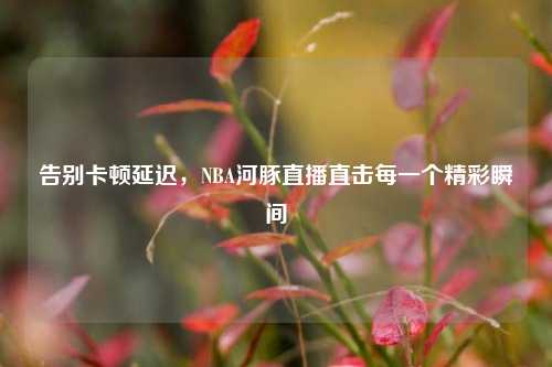 告别卡顿延迟，NBA河豚直播直击每一个精彩瞬间