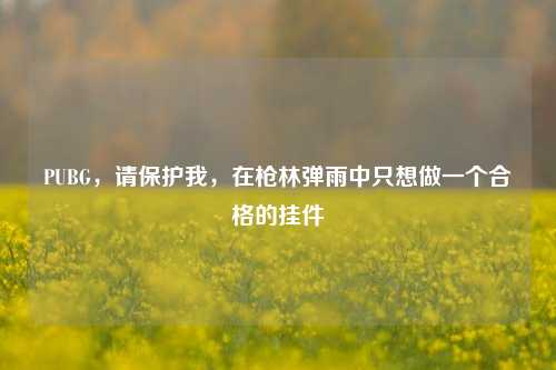 PUBG,请保护我,在枪林弹雨中只想做一个合格的挂件