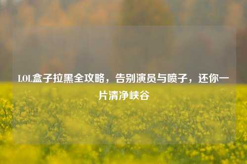 LOL盒子拉黑全攻略，告别演员与喷子，还你一片清净峡谷