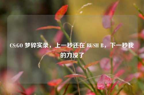 CS:GO 梦碎实录,上一秒还在 RUSH B,下一秒我的刀没了
