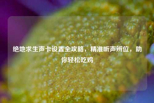 绝地求生声卡设置全攻略，精准听声辨位，助你轻松吃鸡