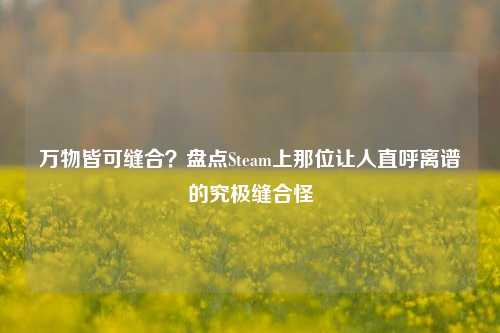 万物皆可缝合?盘点Steam上那位让人直呼离谱的究极缝合怪