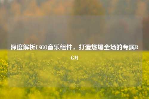 深度解析CSGO音乐组件,打造燃爆全场的专属BGM