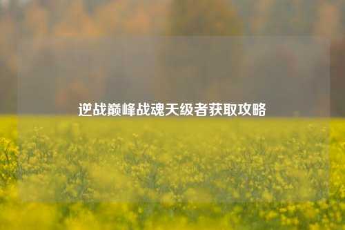 逆战巅峰战魂天级者获取攻略