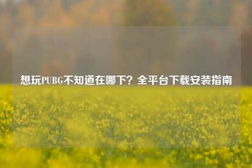 想玩PUBG不知道在哪下?全平台下载安装指南