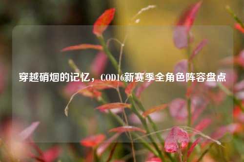穿越硝烟的记忆,COD16新赛季全角色阵容盘点