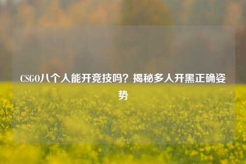 CSGO八个人能开竞技吗?揭秘多人开黑正确姿势