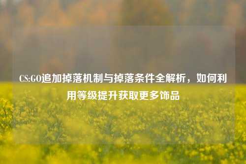 CS:GO追加掉落机制与掉落条件全解析,如何利用等级提升获取更多饰品