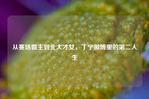 从赛场霸主到北大才女,丁宁微博里的第二人生