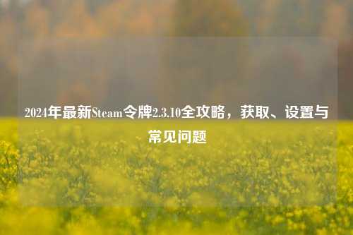 2024年最新Steam令牌2.3.10全攻略,获取、设置与常见问题