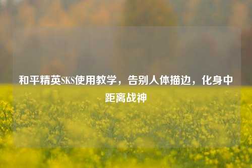 和平精英SKS使用教学,告别人体描边,化身中距离战神