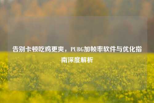 告别卡顿吃鸡更爽，PUBG加帧率软件与优化指南深度解析