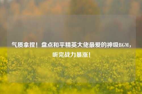 气质拿捏！盘点和平精英大佬最爱的神级BGM，听完战力暴涨！