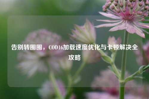 告别转圈圈，COD16加载速度优化与卡顿解决全攻略