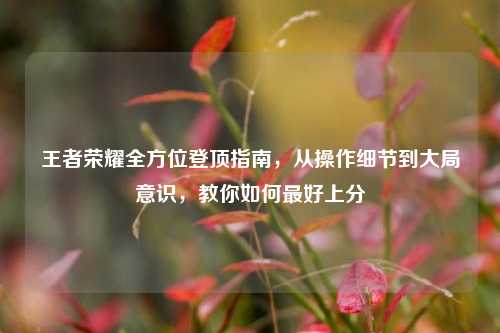 王者荣耀全方位登顶指南，从操作细节到大局意识，教你如何最好上分