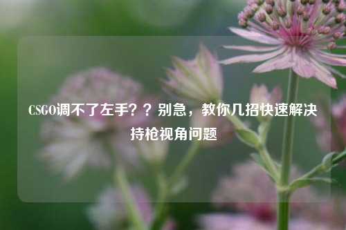 CSGO调不了左手？？别急，教你几招快速解决持枪视角问题