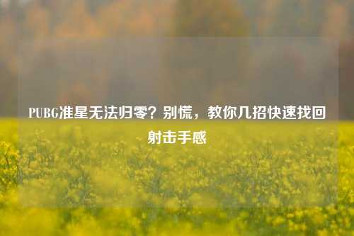 PUBG准星无法归零？别慌，教你几招快速找回射击手感