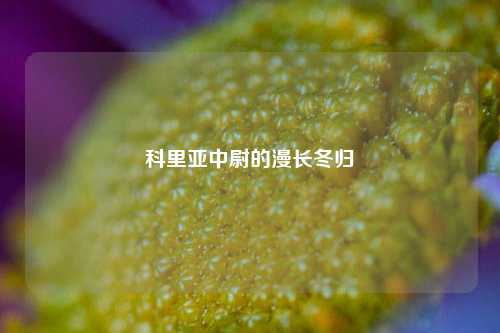 科里亚中尉的漫长冬归